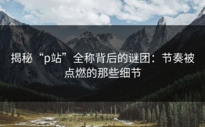 揭秘“p站”全称背后的谜团：节奏被点燃的那些细节