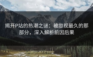 揭开P站的热潮之谜：被忽视最久的那部分，深入解析前因后果