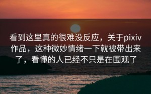 看到这里真的很难没反应，关于pixiv作品，这种微妙情绪一下就被带出来了，看懂的人已经不只是在围观了