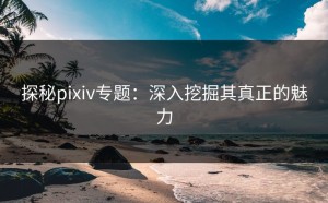 探秘pixiv专题：深入挖掘其真正的魅力