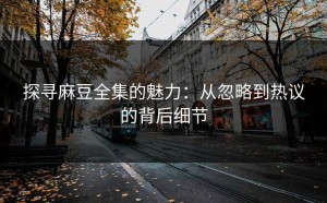 探寻麻豆全集的魅力：从忽略到热议的背后细节