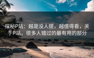 探秘P站：越是没人提，越值得看，关于P站，很多人错过的最有用的部分