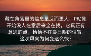 藏在角落里的信息量反而更大，P站刚开始没人在意后来全在找，它真正有意思的点，恰恰不在最显眼的位置，这次风向为何变这么快？
