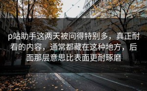 p站助手这两天被问得特别多，真正耐看的内容，通常都藏在这种地方，后面那层意思比表面更耐琢磨