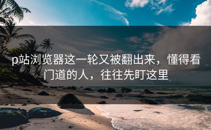 p站浏览器这一轮又被翻出来，懂得看门道的人，往往先盯这里