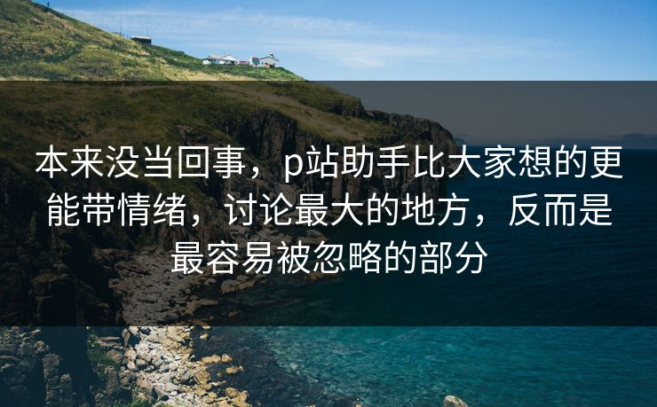本来没当回事，p站助手比大家想的更能带情绪，讨论最大的地方，反而是最容易被忽略的部分