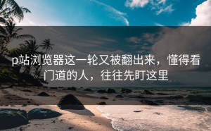 p站浏览器这一轮又被翻出来，懂得看门道的人，往往先盯这里